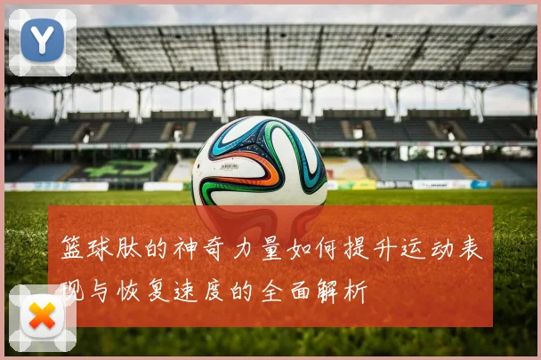 篮球肽的神奇力量如何提升运动表现与恢复速度的全面解析